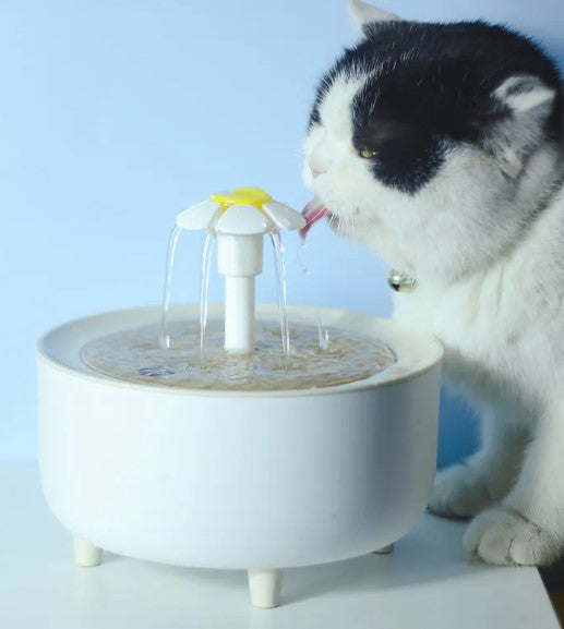 1200mL Automatic Cat Water Fountain with Multi Stage Filter, Quiet USB Pump